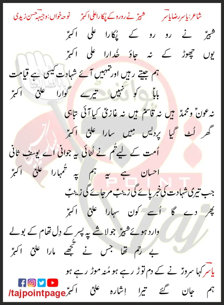 Shabir Ne Ro Ro Ke Pukara Ali Akbar Lyrics In Urdu 2013