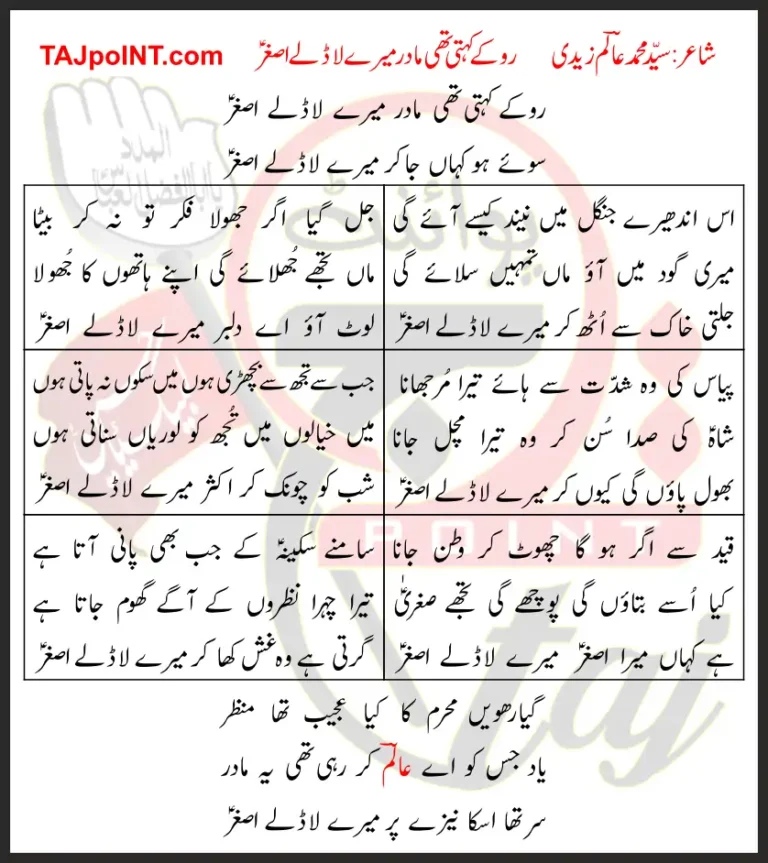 Ro Ke Kehti Thi Madar Mere Ladlay Asghar Lyrics In Urdu 2019