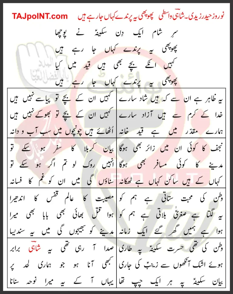 Phophi Yeh Prinday Kahan Ja Rahe Hain Lyrics In Urdu 2019