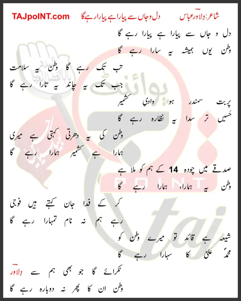 Dil-o-Jaan Se Pyara Hai Pyara Rahe Ga Lyrics In Urdu 2019