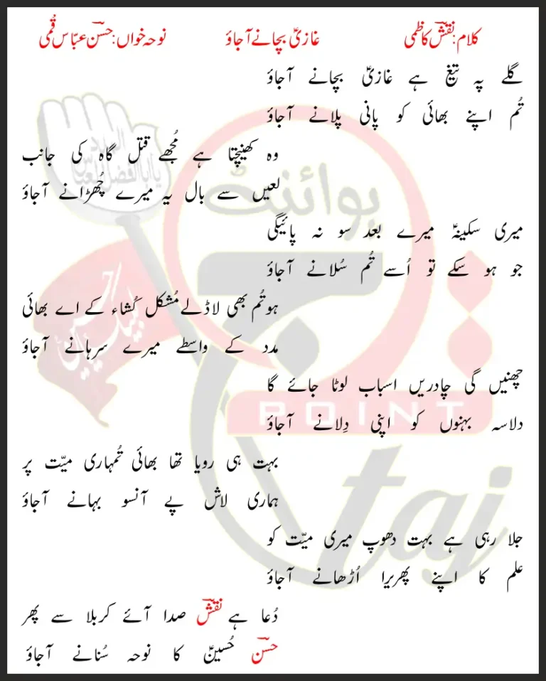 Galay Pe Taig Hai Ghazi Bachane Aa Jao Lyrics In Urdu 2019