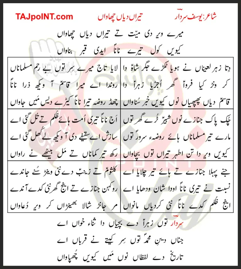 Mere Veer Di Mayyat Te Teeran Diyan Chawaan Lyrics In Punjabi 1991