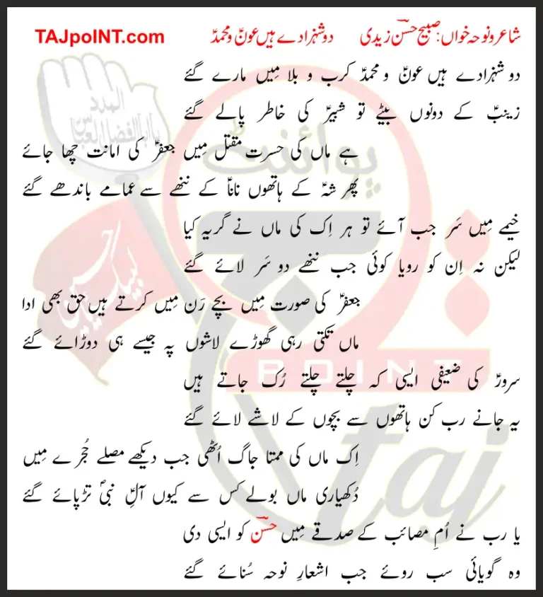 Do Shahzaday Hain Aun-o-Muhammad Sabeeh Hassan Zaidi Lyrics In Urdu 2020