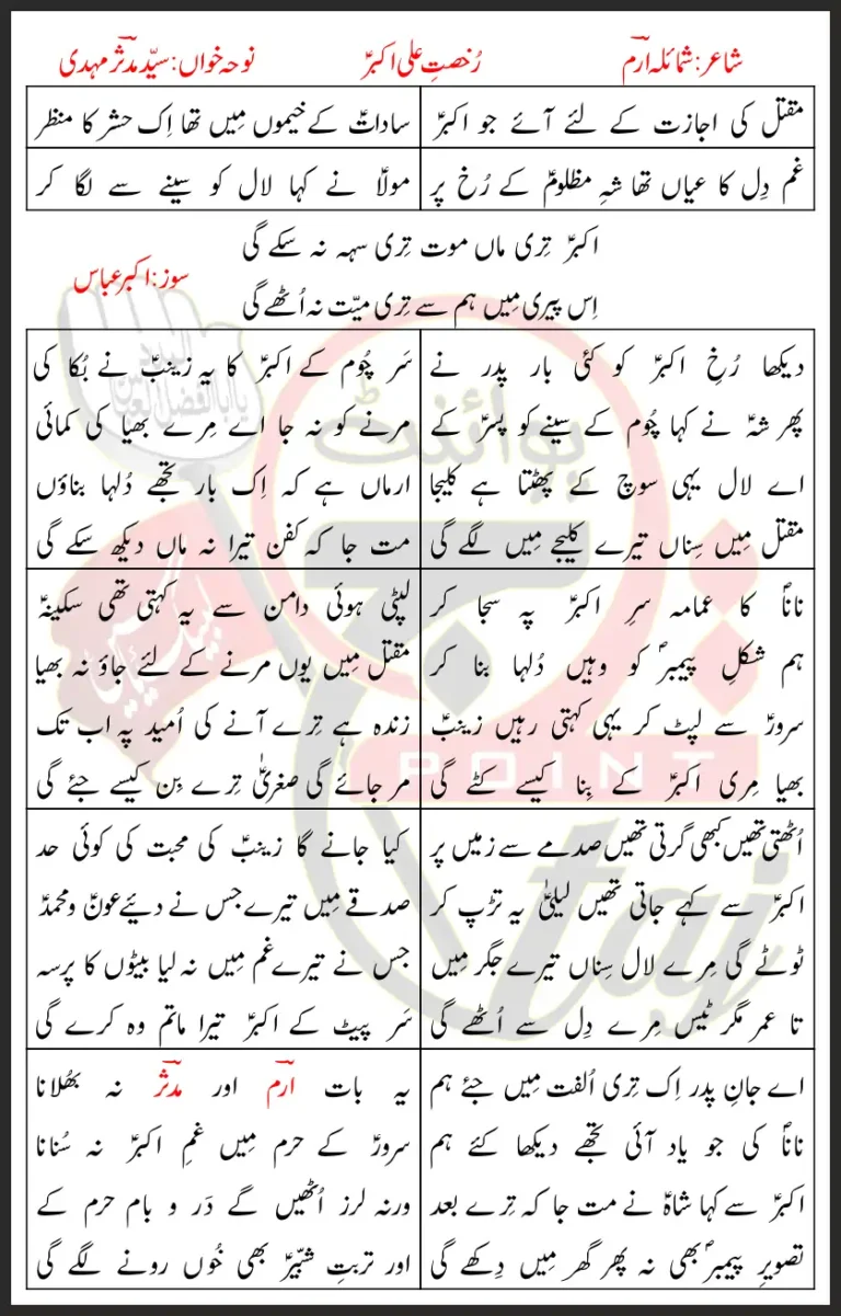 Rukhsat e Ali Akbar Syed Mudassir Mehdi Lyrics In Urdu 2021