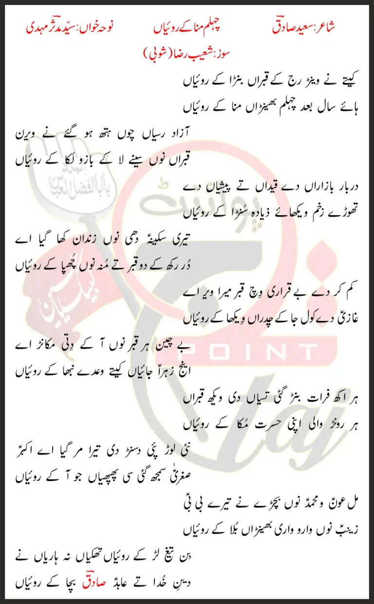 Chehlum Mana Kay Roiyan Syed Mudassir Mehdi Lyrics In Punjabi 2021