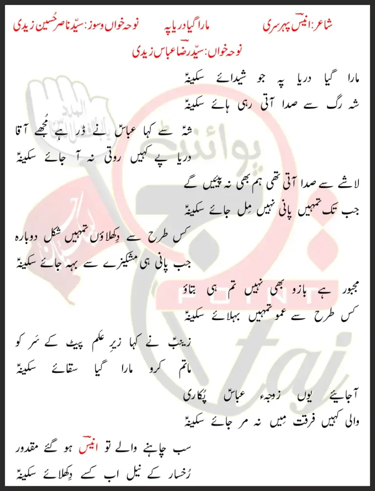 Mara Gaya Dariya Pe Syed Raza Abbas Zaidi Lyrics In Urdu 2021