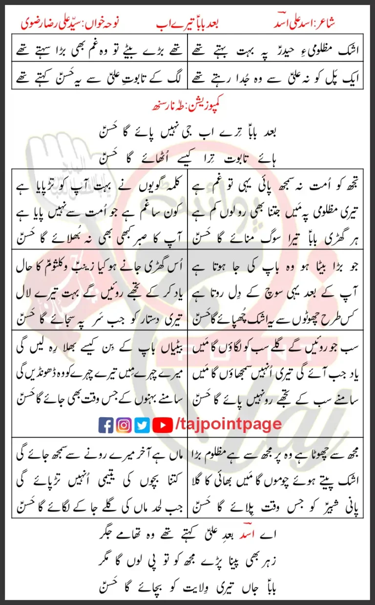 Baad Baba Tere Ab Syed Ali Raza Rizvi Lyrics Urdu 2022