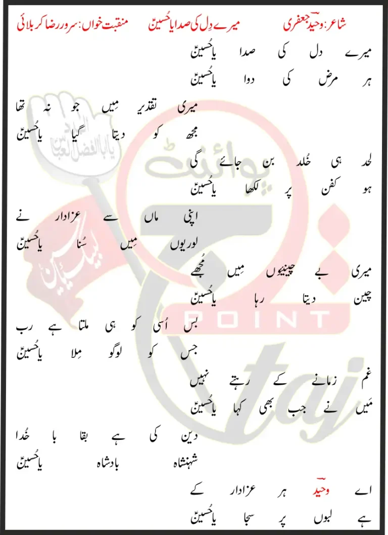 Mere Dil Ki Sada Ya Hussain Sarwar Raza Karbalai Lyrics In Urdu 2022