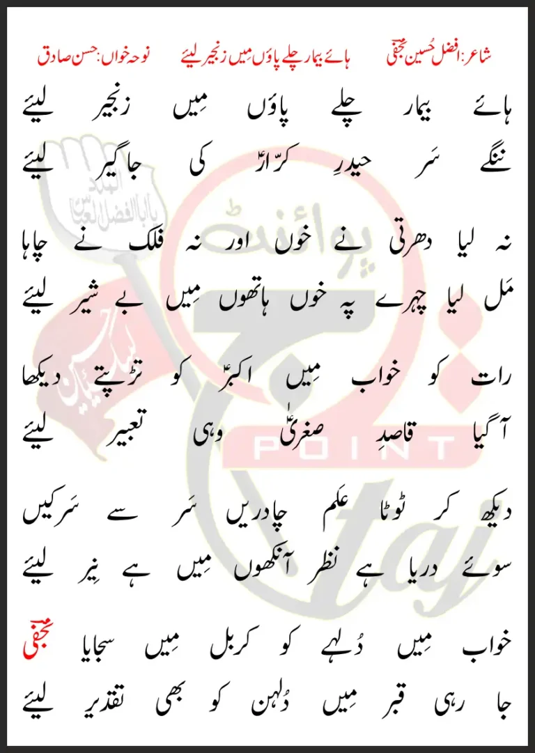 Haye Bemar Chale Paon Mein Zanjeer Liye Hasan Sadiq Lyrics In Urdu 1993