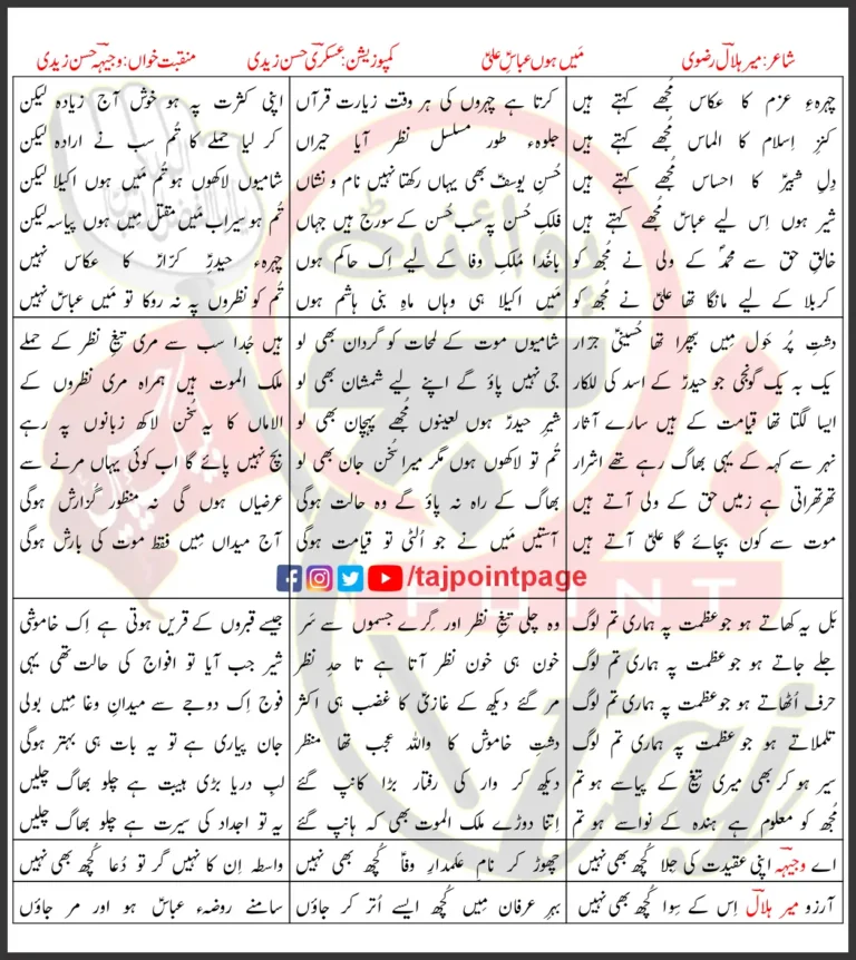 Main Hoon Abbas e Ali Wajhi Hasan Zaidi Lyrics Urdu 2023