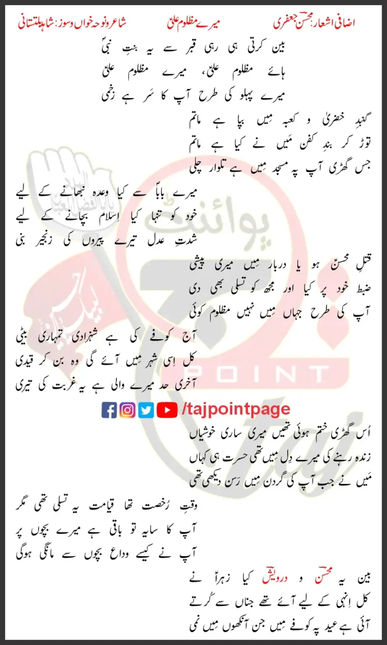 Mere Mazloom Ali Shahid Baltistani Lyrics Urdu 2023