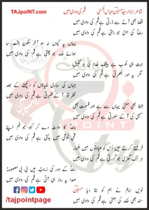 Qum Ki Wadi Mein Hasnain Abbas Lyrics In Urdu 2023