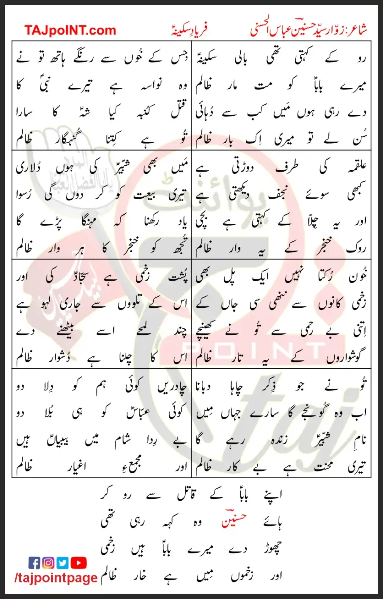 Faryad e Sakina Zawwar Syed Hasnain Abbas Al-Hasani Lyrics In Urdu 2023