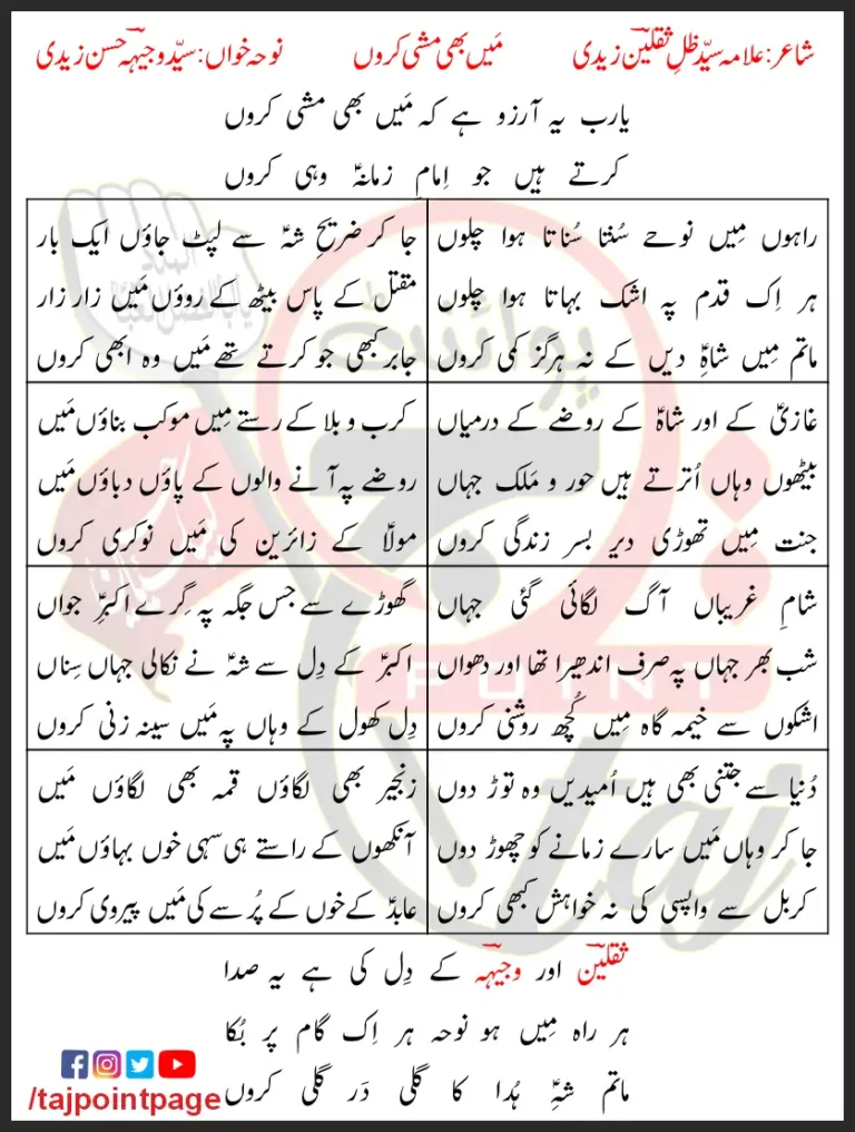 Main Bhi Mashi Karun Wajhi Hasan Zaidi Lyrics In Urdu 2023