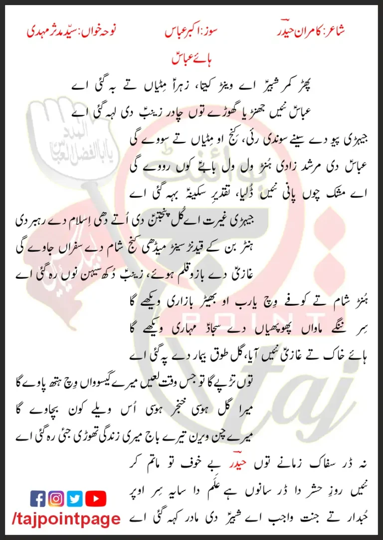 Haye Abbas Syed Mudassir Mehdi 2023 Lyrics Urdu