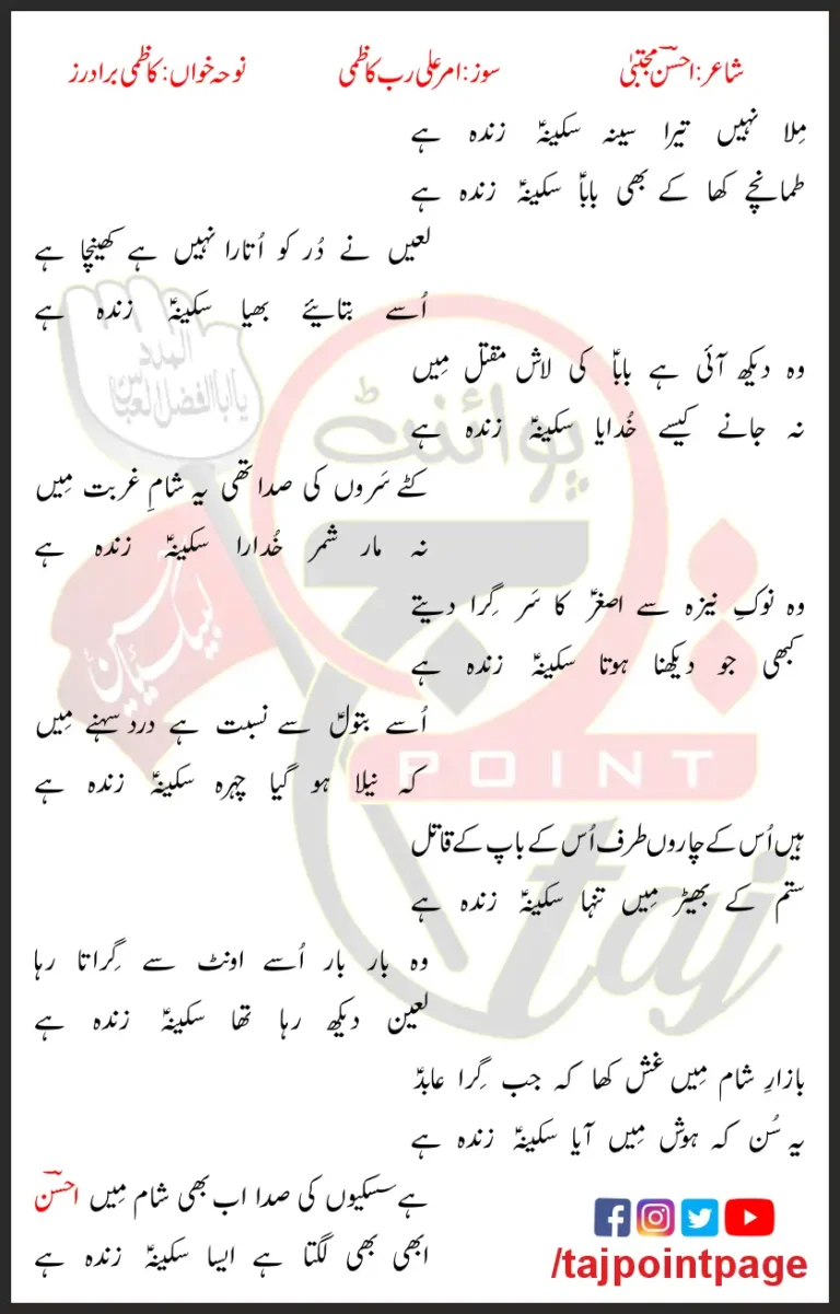 Sakina Zinda Hai Kazmi Brothers 2023 Lyrics Urdu