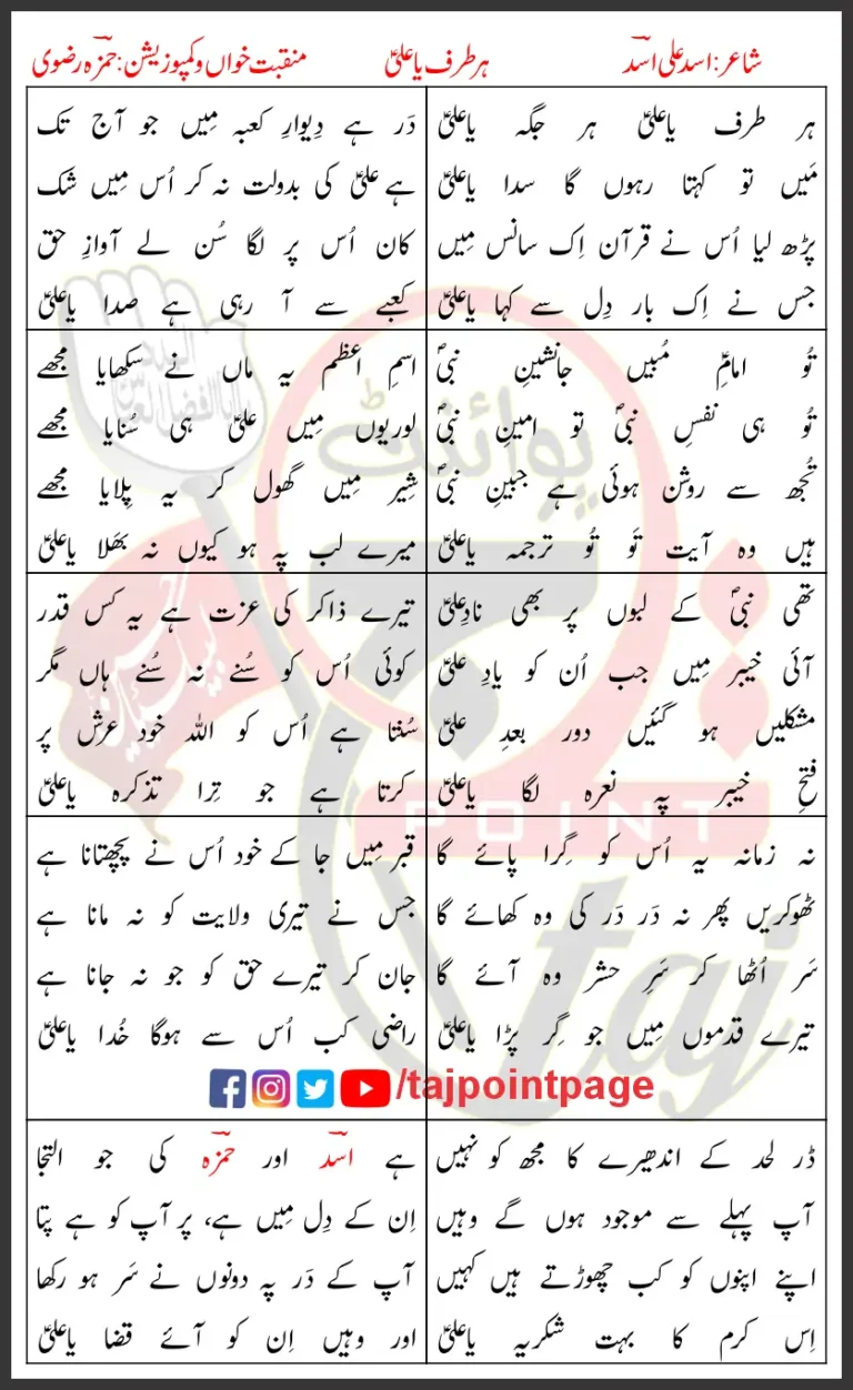 Har Taraf Ya Ali Hamza Rizvi Lyrics In Urdu 2024