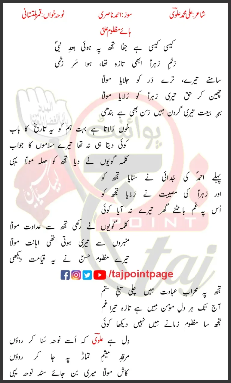 Haye Mazloom Ali Qamar Baltistani Lyrics In Urdu 2024