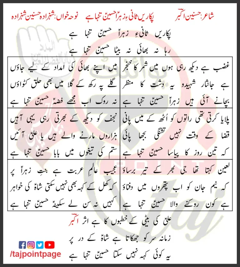 Pukarein Sani e Zahra Hussain Tanha Hai Lyrics 2019