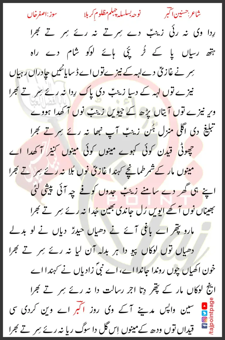 Rida V Na Rayi Zainab De Sir Te Na Riye Lyrics 2019