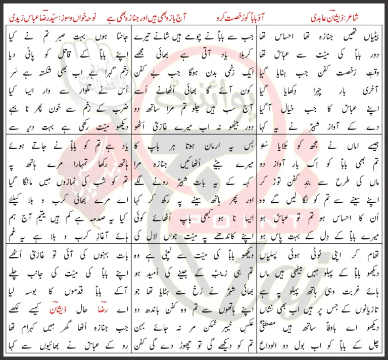 Aao Baba Ko Rukhsat Karo Syed Raza Abbas Zaidi 2023