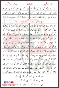 Ali un Waliullah Mir Hasan Mir Lyrics In Urdu 2014