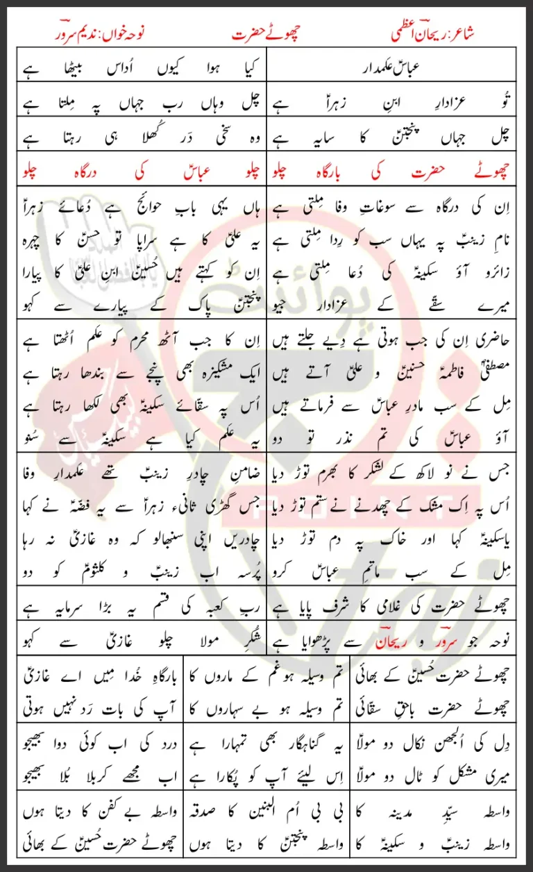 Chotey Hazrat Nadeem Sarwar Lyrics In Urdu 2011