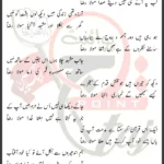 Kartay Hain Ata Mola Raza Mukhtar Hussain Lyrics 2024