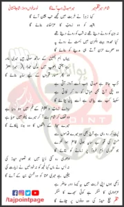 Mera Mehdi Jab Ayega Shahid Baltistani Lyrics Urdu 2010