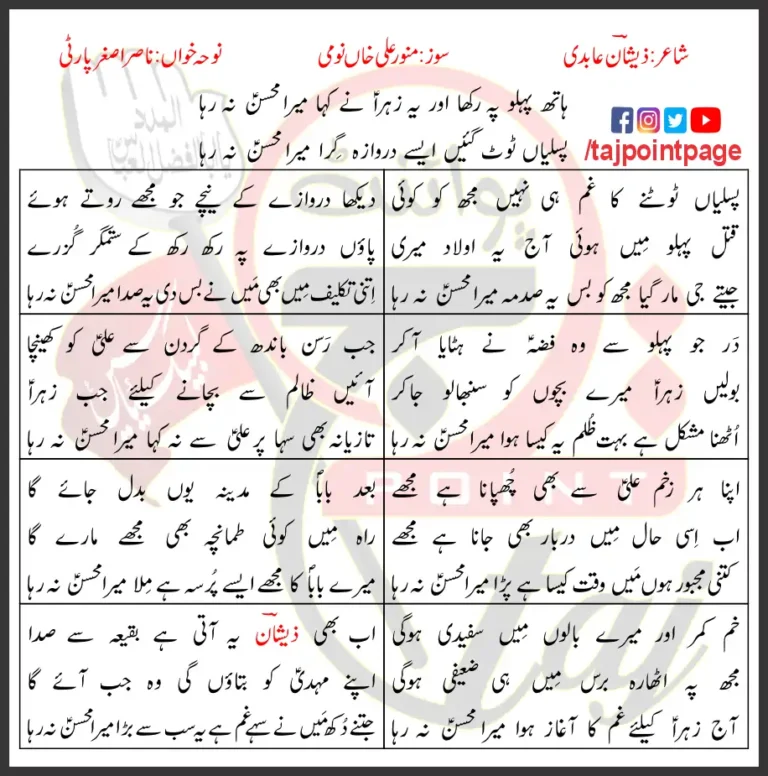 Mera Mohsin Na Raha Nasir Asghar Party Lyrics Urdu 2023