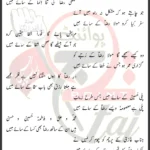 Saye Mein Imam Raza Manqabat Lyrics 2024