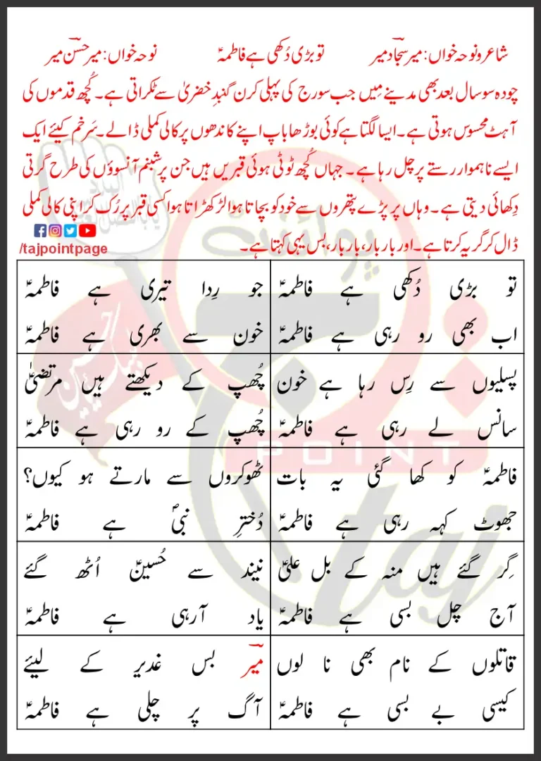 Tu Bari Dukhi Hai Fatima Mir Sajjad Mir Lyrics Urdu 2021