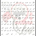 Tu Wanj Musafir Multan Party 2013 Lyrics