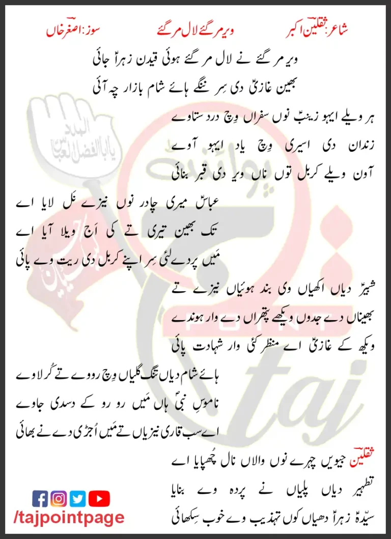 Veer Mar Gaye Ne Lal Mar Gaye Hoi Lyrics 2020