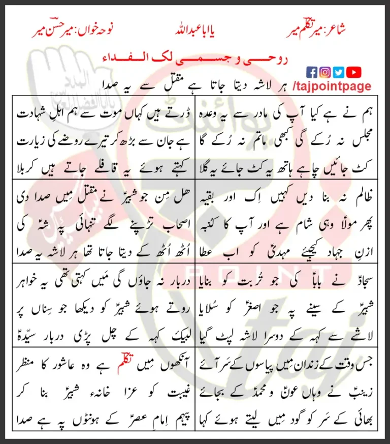 Ya Aba Abdillah Rohi Wa Jismi Lakal Fida Mir Hasan Lyrics 2013