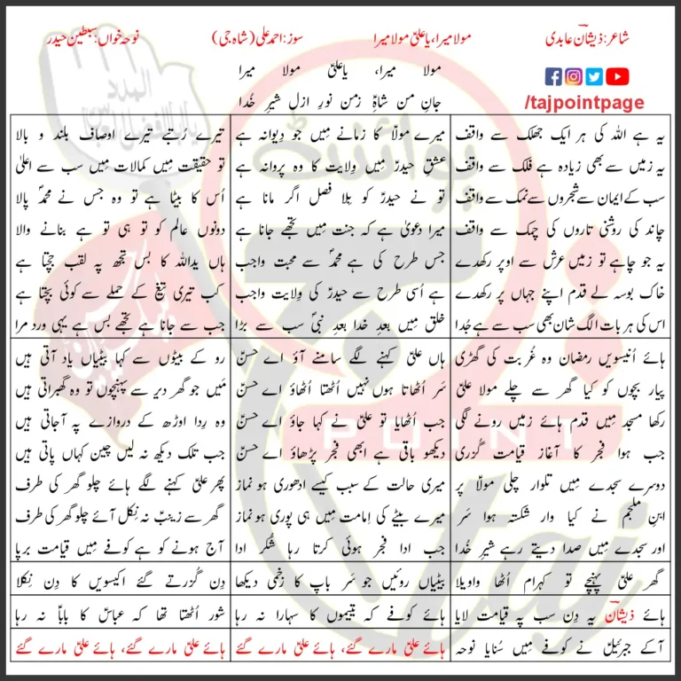 Ya Ali Moula Mera Sibtain Haider Lyrics In Urdu 2023