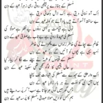Muslim Ka Lasha Eid Ky Din Mir Hasan Mir Lyrics 2024