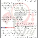 Abbas Abbas Meri Madad Ko Aao Na Mesum Abbas Lyrics Urdu 2024