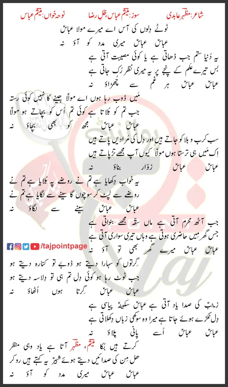 Abbas Abbas Meri Madad Ko Aao Na Mesum Abbas Lyrics Urdu 2024