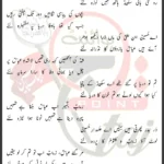 Abbas Ka Lasha Liye Syed Ali Yazdaan Lyrics Urdu 2024
