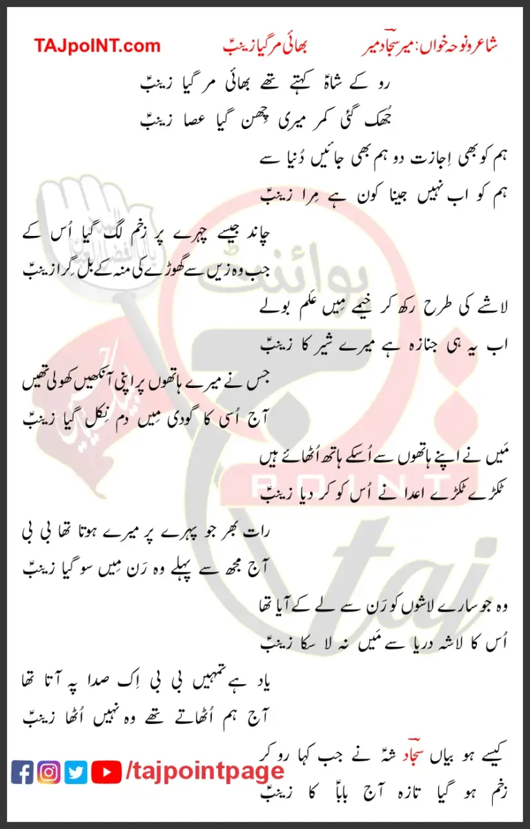 Bhai Mar Gaya Zainab Mir Sajjad Mir Lyrics Urdu 2024