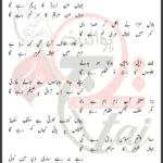 Ghazi Ka Parcham Mir Sajjad Mir Lyrics Urdu 2024