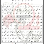 Haan Yehi Maa Hai Ali Akbar Ki Muhammad Raza Mungla Lyrics 2024