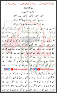 Haye Hussain Ibn Ali Nadeem Sarwar Lyrics Urdu 2024