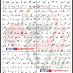 Nad e Ali Syed Raza Abbas Zaidi Shahid Baltistani Lyrics Urdu 2024