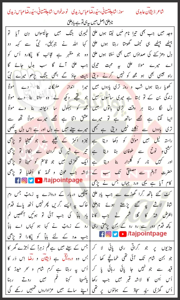 Nad e Ali Syed Raza Abbas Zaidi Shahid Baltistani Lyrics Urdu 2024