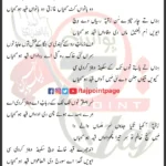 Ridawan Qaid Hogayiyan Mir Hasan Mir Lyrics 2024