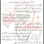 Samajhna Chaho Hussain Ko Gar Asad Abbas Lyrics Urdu 2024