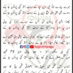 Zainab Ujar Gayi Ali Shanawar Ali Jee Lyrics Urdu 2024