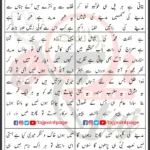 Fazaye Madina Rizwan Zaidi and Sons Lyrics 2024